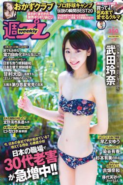 风水世家31