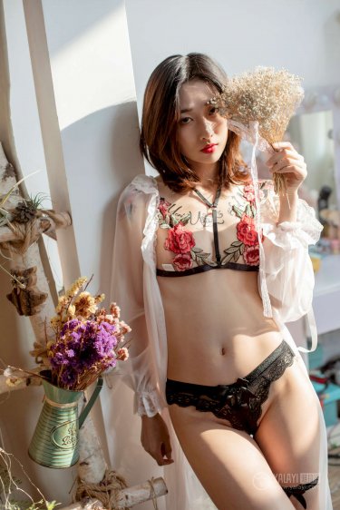 我的恶魔少爷