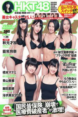 文章电视剧